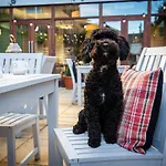Ja The Bruntsfield - Hotel Edinburgh