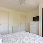 Arthur's Seat Nest エディンバラ