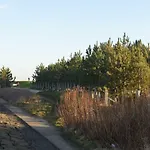 Matysiak Edimburgo
