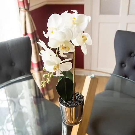 Classy Holiday In With Private Garden Casa vacanze Edimburgo