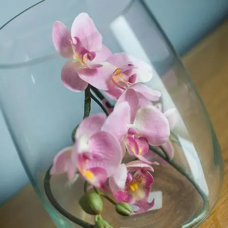 Castle Apt, Modern, Εδιμβούργο