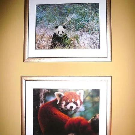 Panda Bed & Breakfast 4*