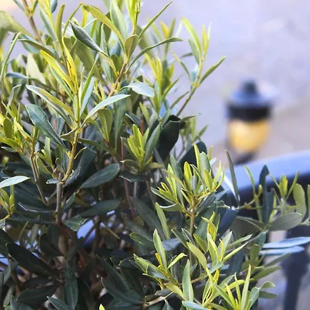 Hotel 24 Royal Terrace Edimburgo