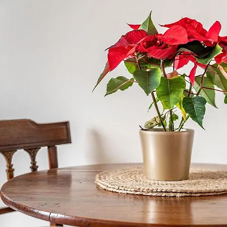 Amazing - Torphichen Place By Haymarket Apartament *