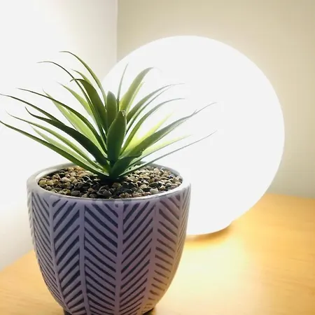 My-canning Street 爱丁堡