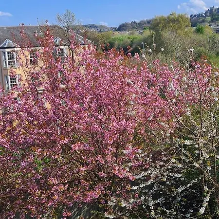 Penthouse Sleeps 11 * Edinburgh