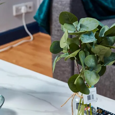 Apartment Perfect Place To Fast Free Wifi *