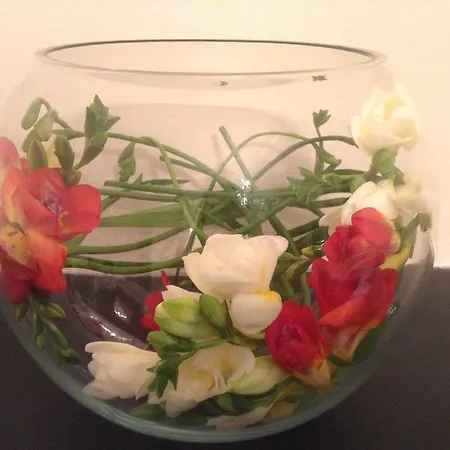 Ailsa 게스트하우스 에든버러