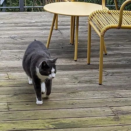 Privatunterkunft Private With Terrace And Free Parking