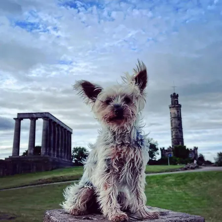 Garden Flat * Edinburgh