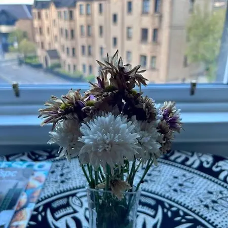 Edinburghs Arthurs Seat View