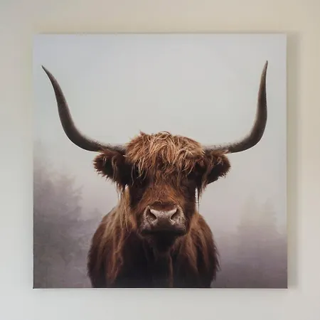 Guestready - 3bdr W/ Private Parking Lägenhet Edinburg