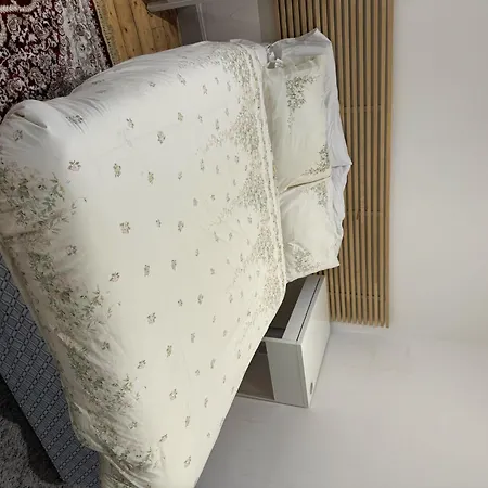 Cozy Escape
