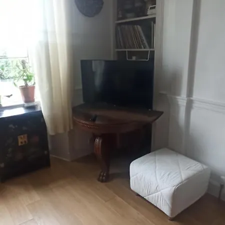 Serene And Plant Filled One Bedroom