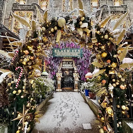 Black Ivy