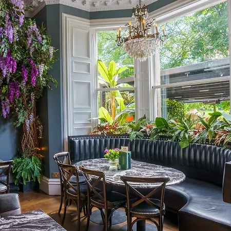 Hotel Black Ivy