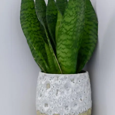 Centre House - 5 Bedrooms - Sleeps 9 - Parking Сasa de vacaciones Edimburgo