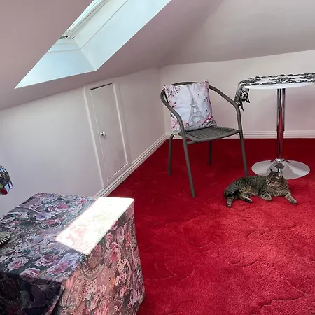 Homestay Relaxing, Cozy 1 Double Edinburgh