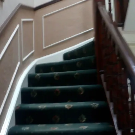 Aynetree Pensionat 3*