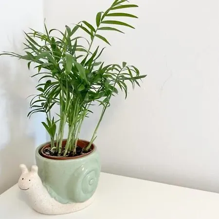 Double With Private Bathroom N Parking Direct Connection To Airport Train Station