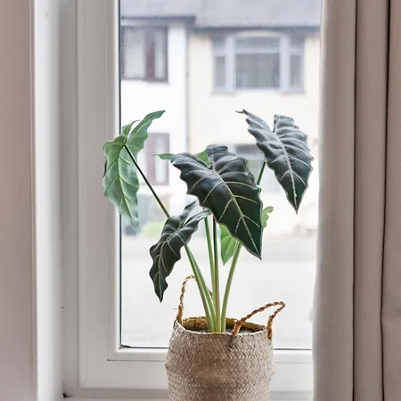 Apartament Cozy With Character Logie Main Door Flat