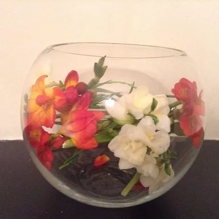 Ailsa 게스트하우스