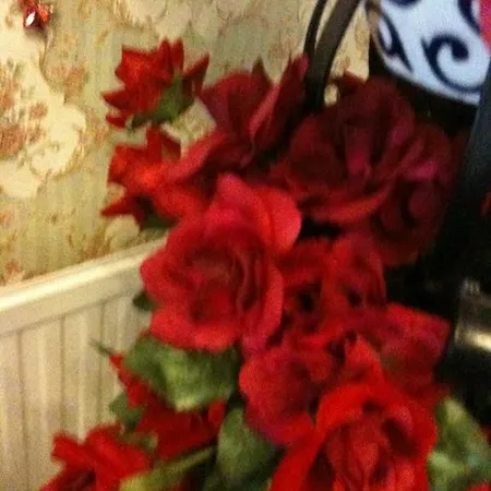 Almond House Couette-café *