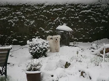 Pensjonat Alba House 3*