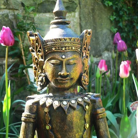 Panda 住宿加早餐酒店 4*