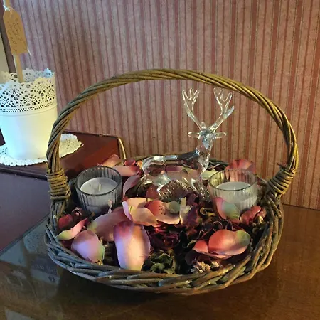 Allison House 16 Эдинбург