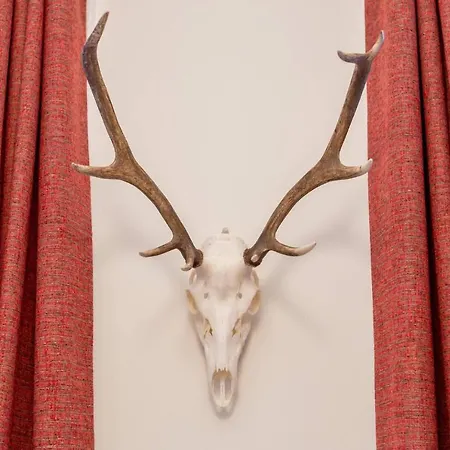 Lejlighed Joivy Spacious Flat With Garden In Centre *