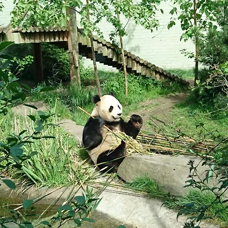 Violet Bank West End. Appartamento