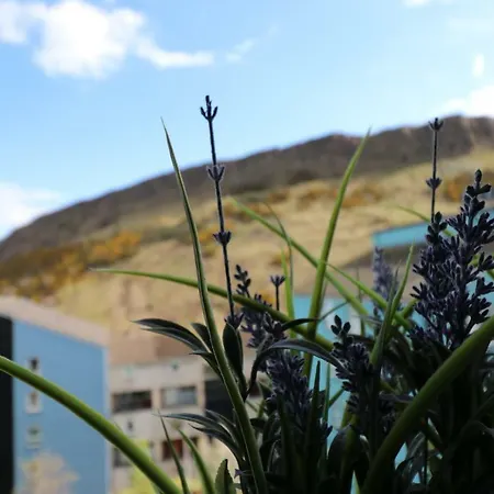 Апартаменты Holyrood Skyline *