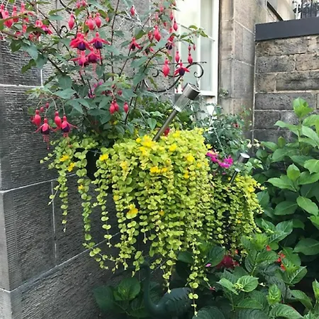 22 Chester Street Guest house Edinburgh