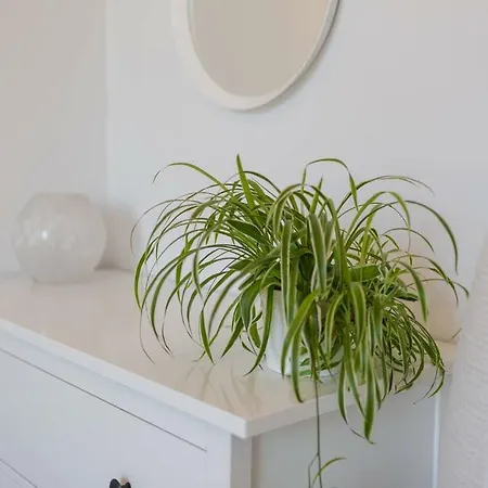 Historic 1890s Turned Relaxing Retreat * Edynburg