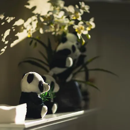 Duthus 게스트하우스