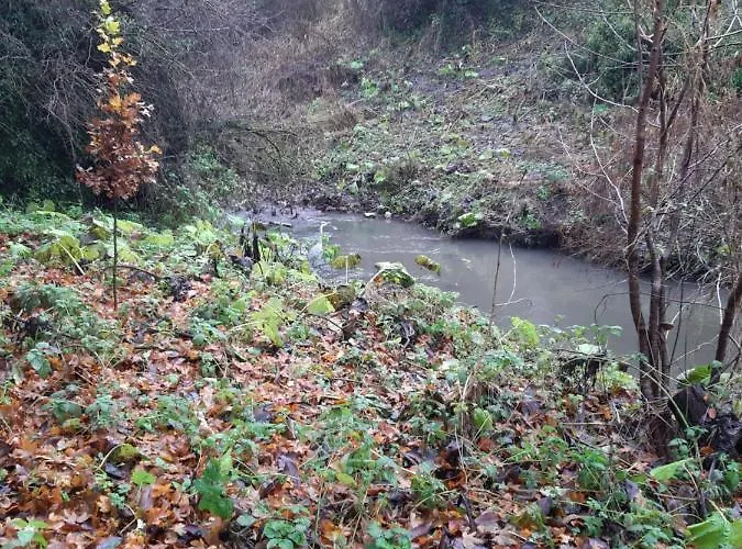 Daiches Braes Brunstane Portobello * אדינבורו