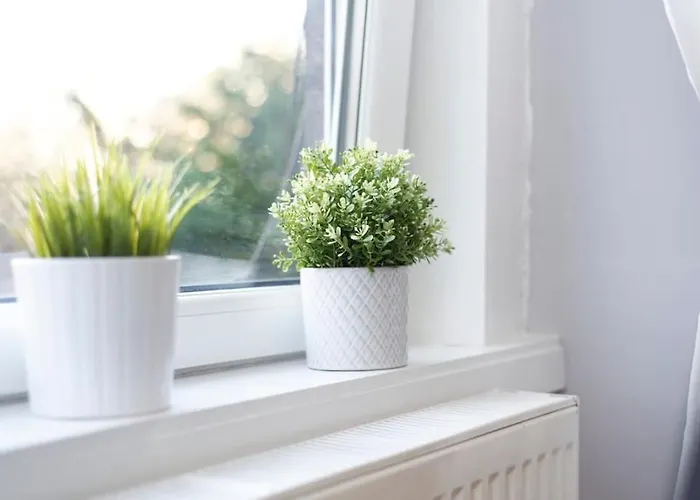 Cosy And Chic, Quiet In Leith *