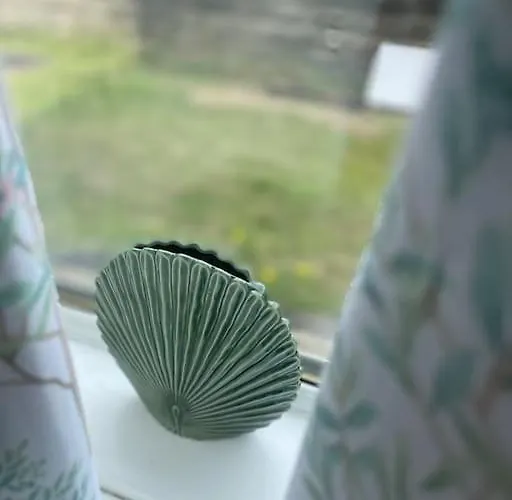 2 Bedrooms In Near Center Daire *