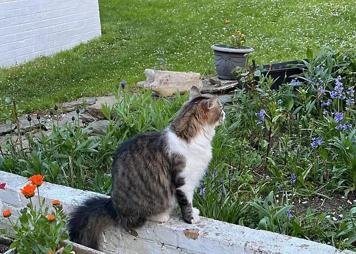 Relaxing, Cozy 1 Double * Edinburgh