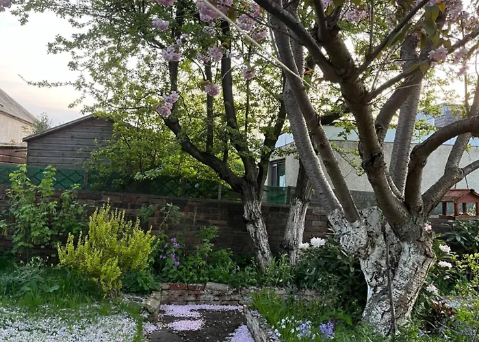 Relaxing, Cozy 1 Double Homestay Edinburgh