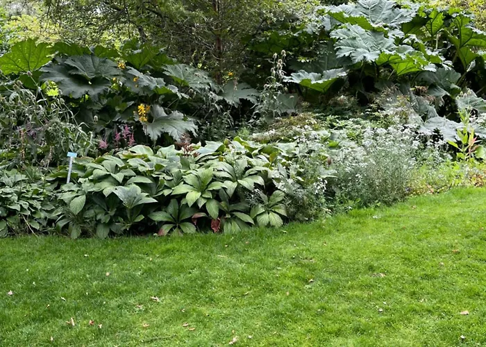 Homestay Relaxing, Cozy 1 Double Edinburgh