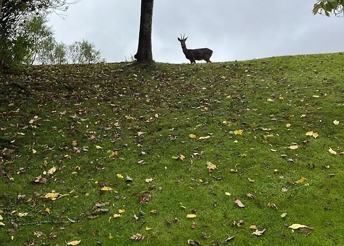 Relaxing, Cozy 1 Double Homestay