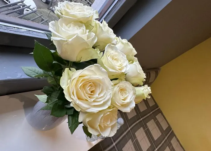 Restarting Διαμέρισμα