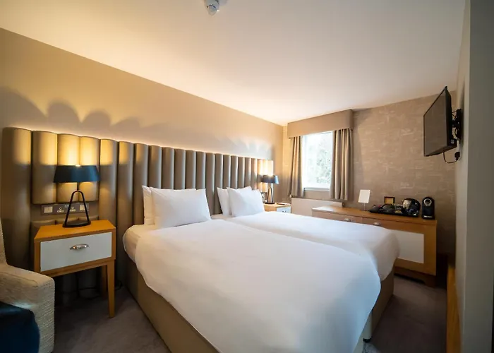 The Scholar מלון