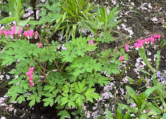 Relaxing, Cozy 1 Double Edinburgh