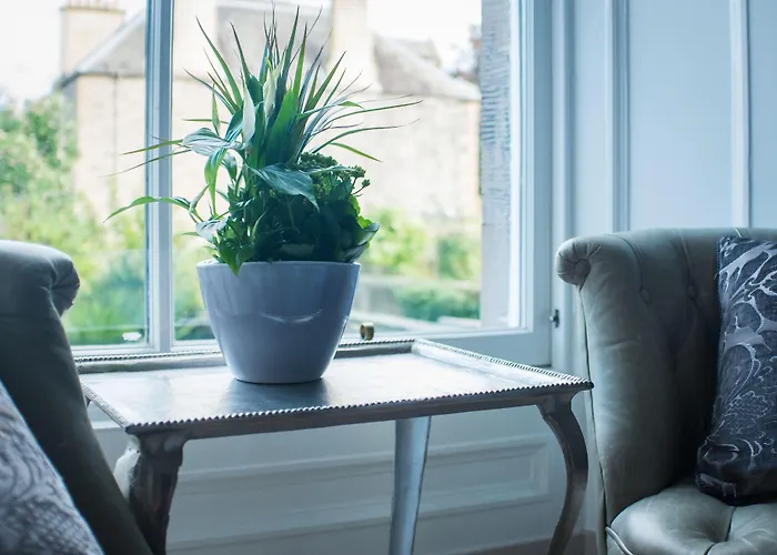 Allison House 17 Affittacamere 3*