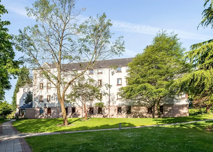 מלון The Scholar 4*