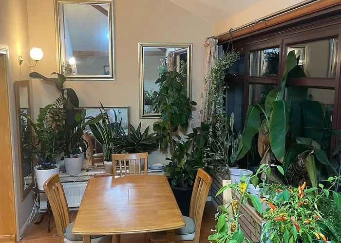 Bright, Spacious House *