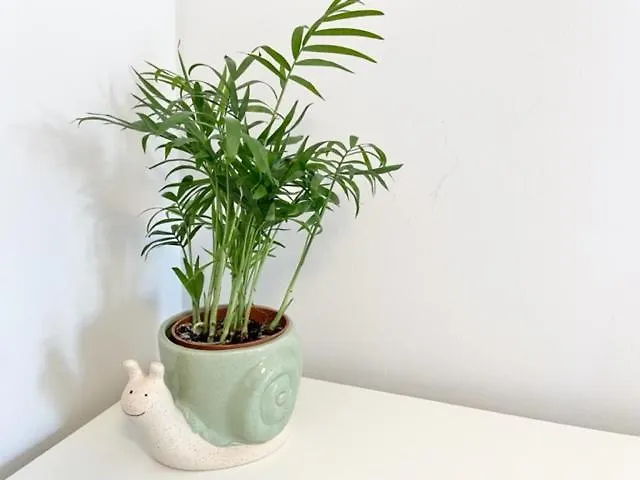 Double With Private Bathroom N Parking Direct Connection To Airport Train Station